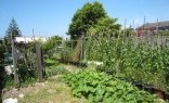 All Landscape Supplies Vegetable Gardens